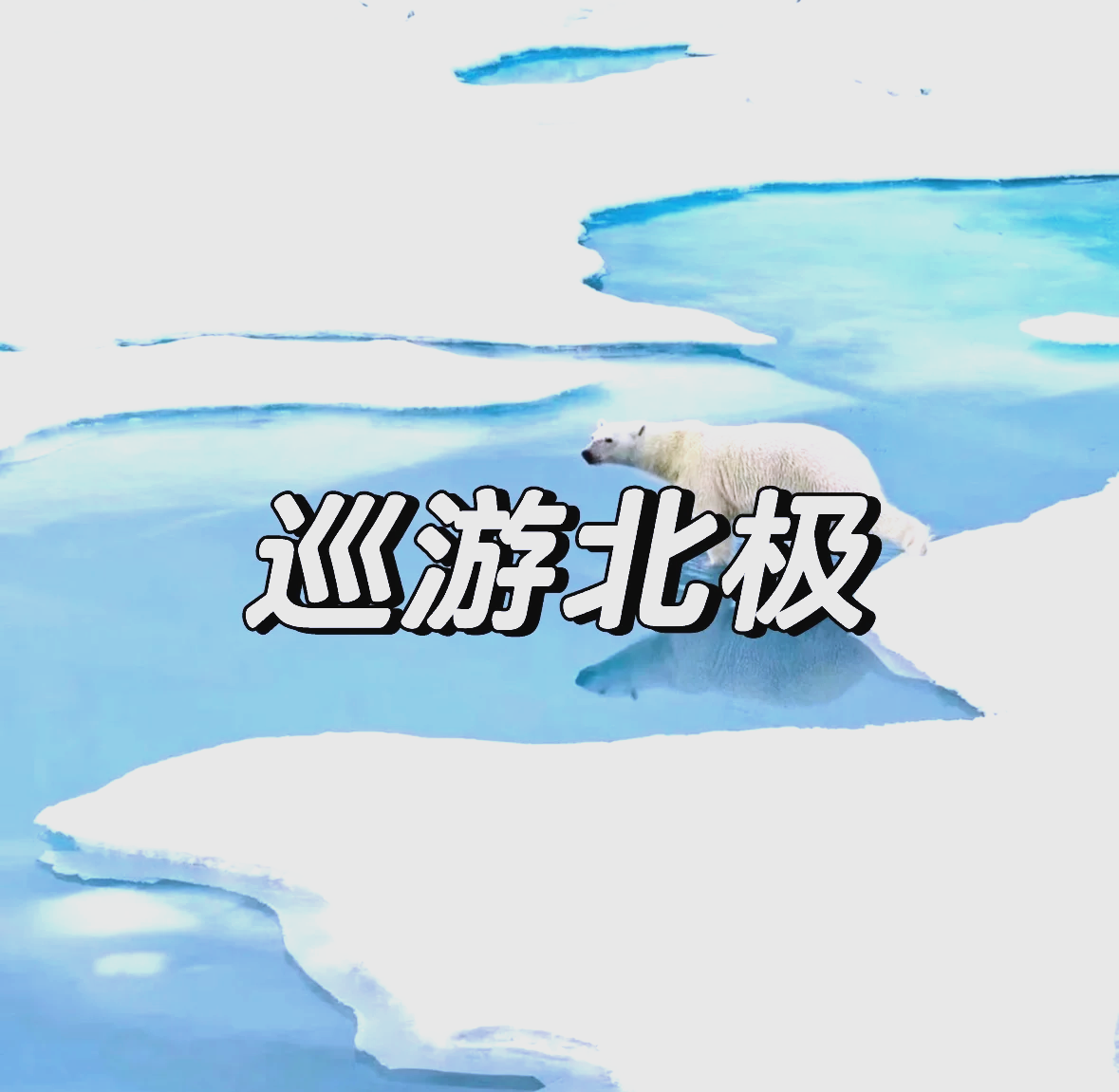 北极探险赛：极地挑战的无畏精神的简单介绍