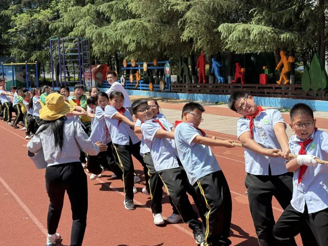关于特色露天拔河赛，凝聚团队的运动文化的信息