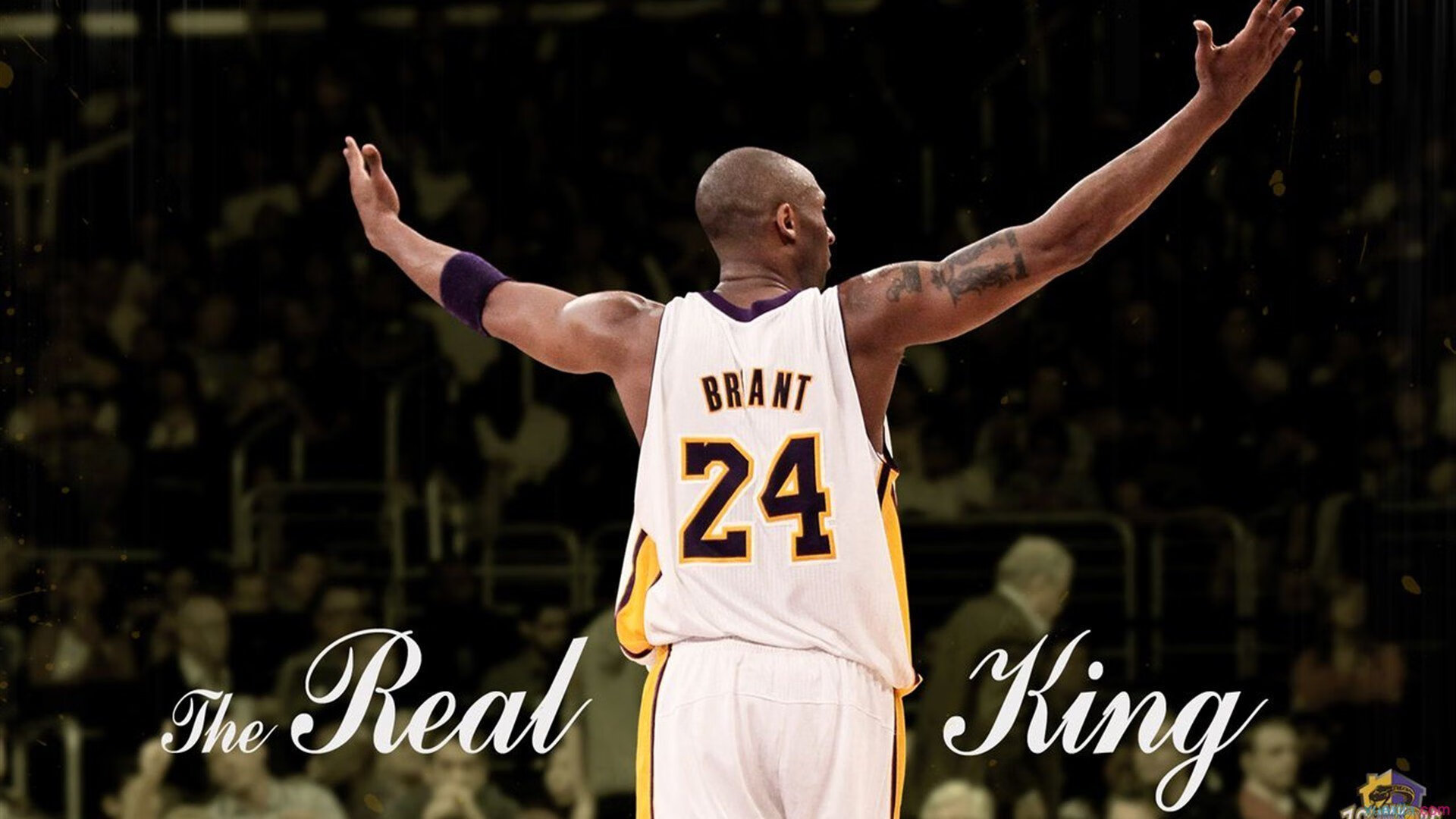 乔·波尔曼的精准传球和高效突破,为袋鼠队创造了更多进攻机会